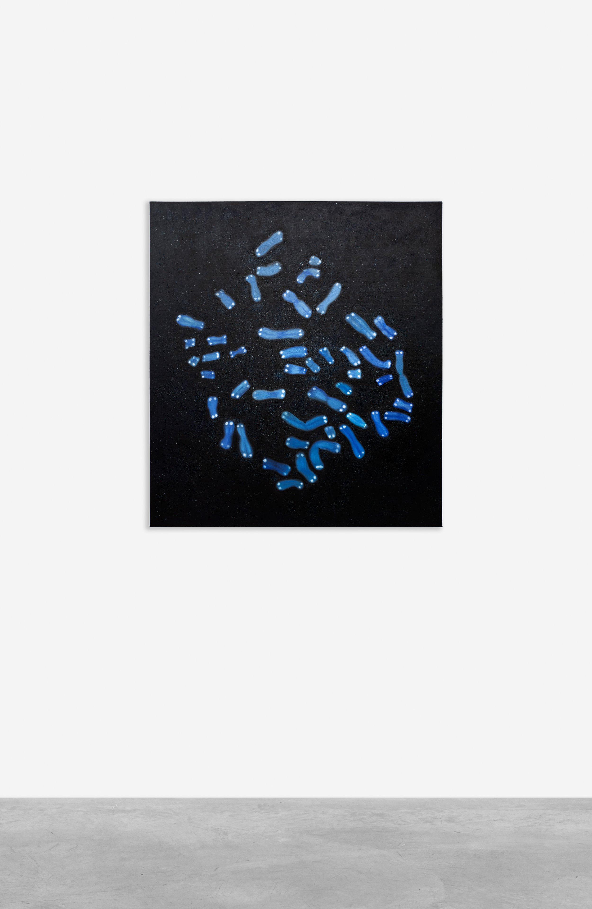 Tan Mu, Chromosomes (2022), detail of chromosome pairs and dot field