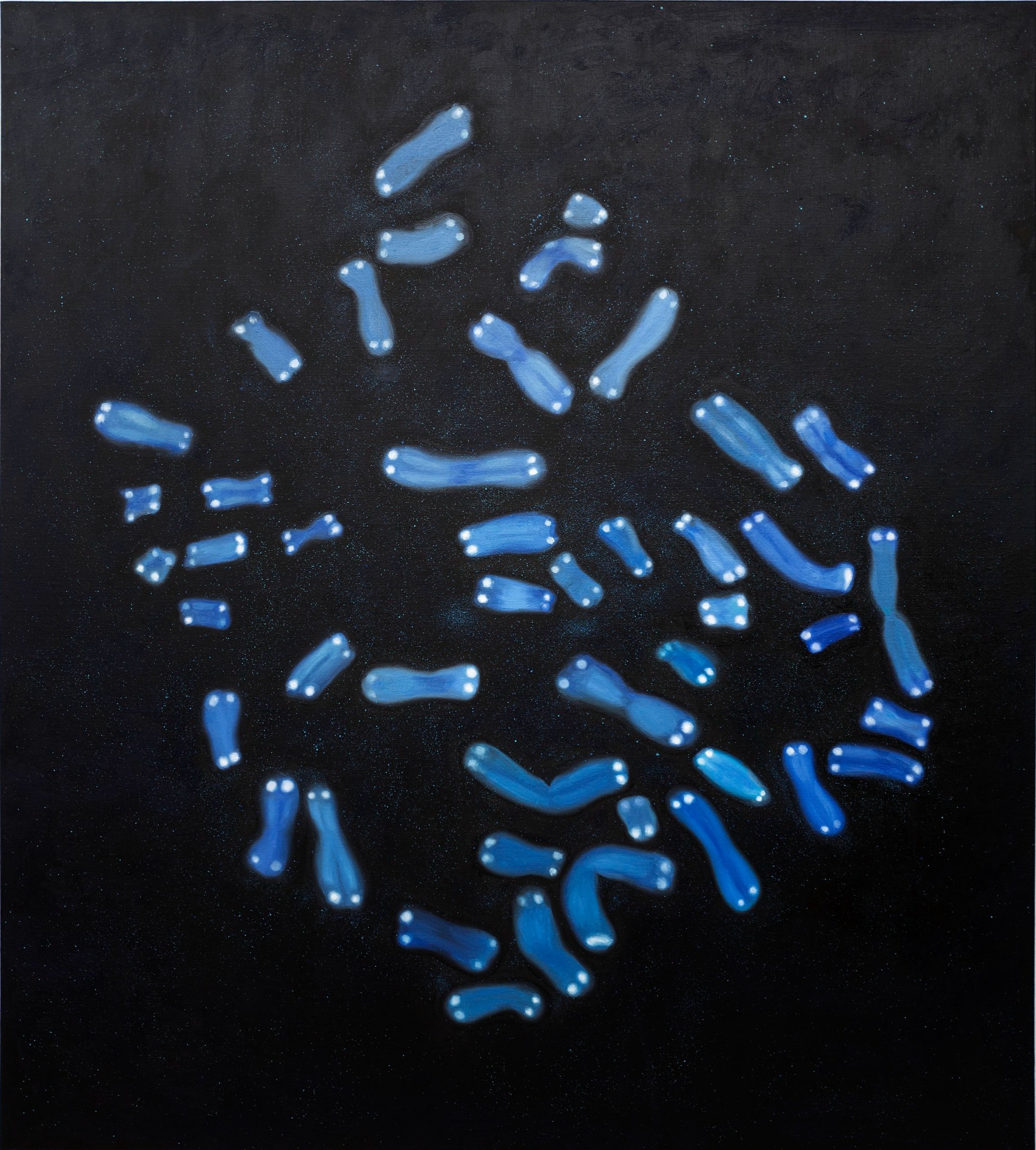 Tan Mu, Chromosomes, 2022. Detail of blue dot background.