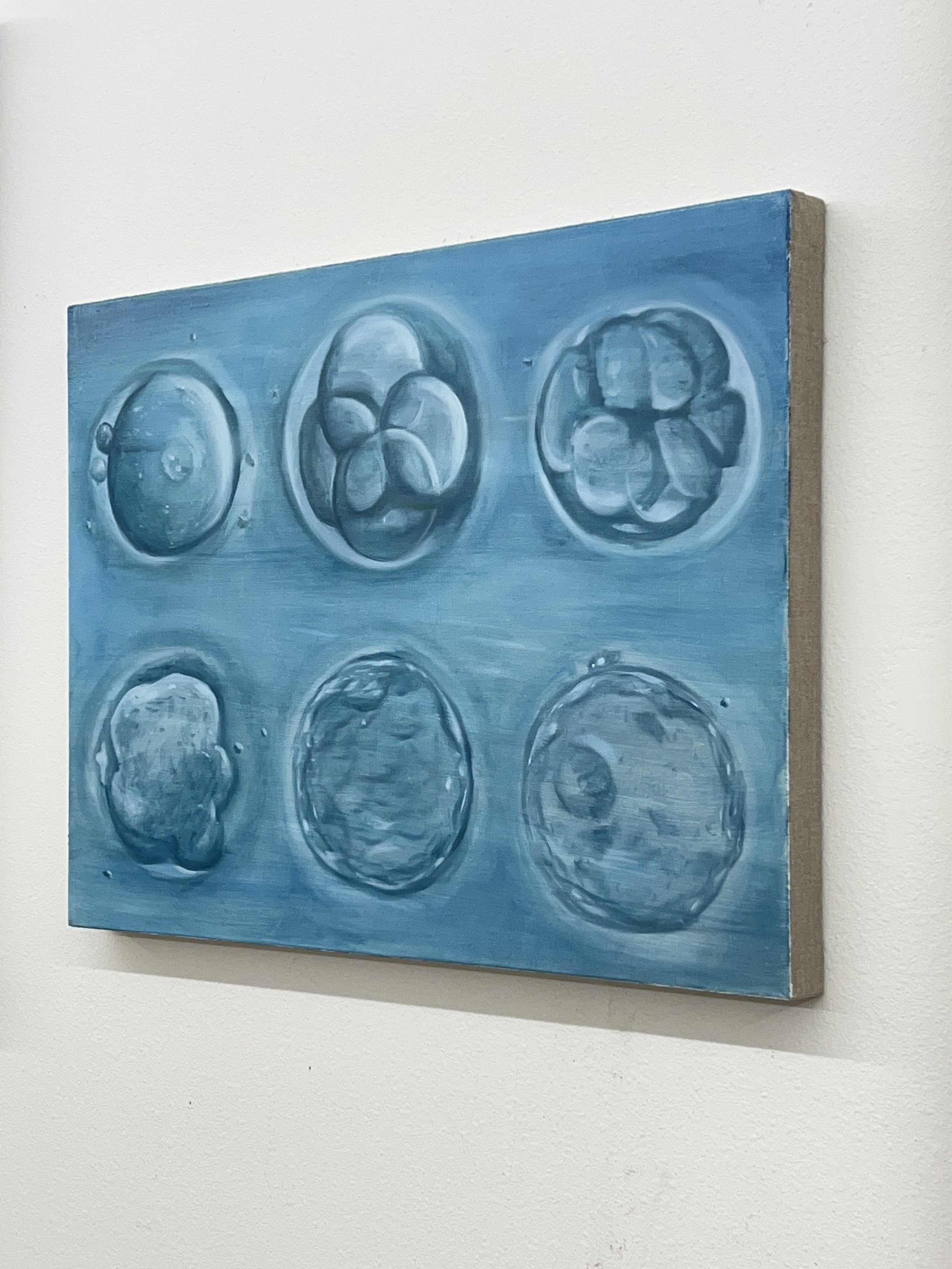 Tan Mu, First Week, 2022, detail of zygote