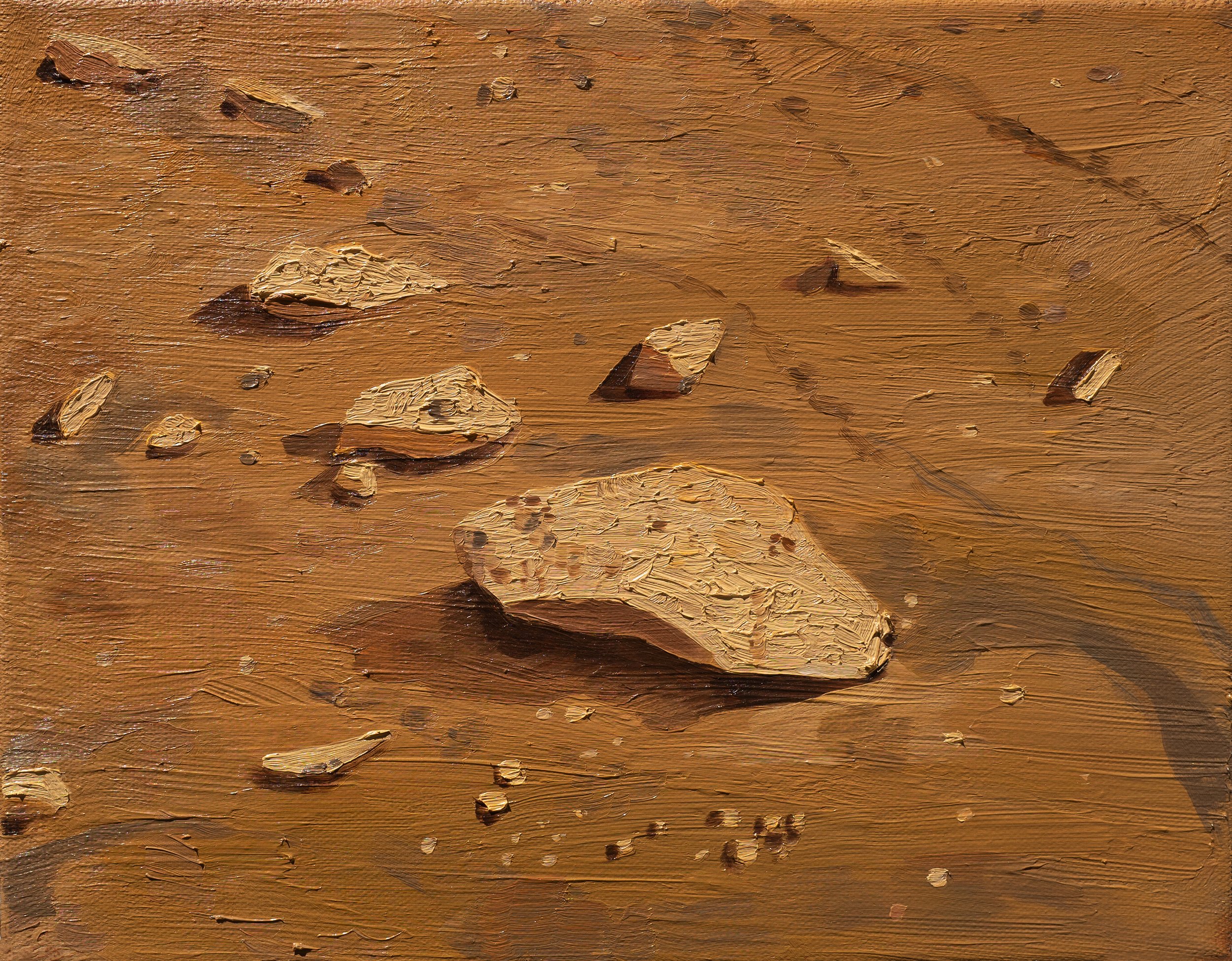 Detail of Mars 01, 2025 surface texture